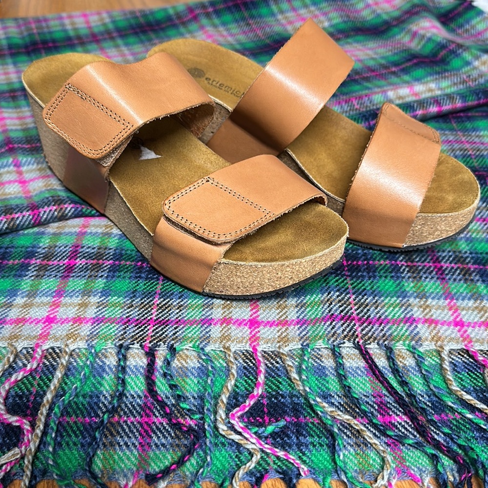 Eric Michael Wedges - image 1